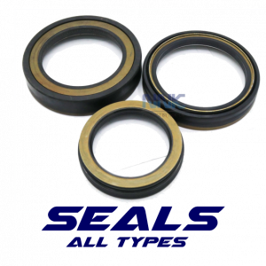 Hub/Bearing/Crankshaft - SEALS